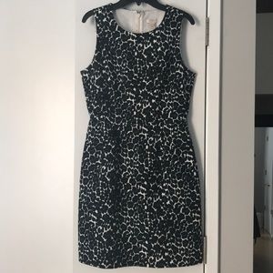 Black White Teal Leopard Print Dress
